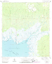 Waccasassa Bay 1955 topographic map thumbnail
