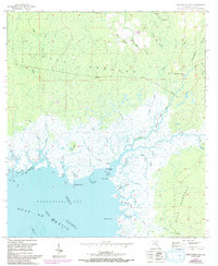 Waccasassa Bay 1955 topographic map thumbnail