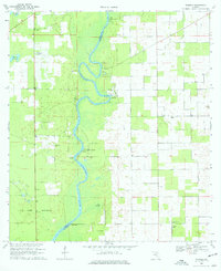 Wannee 1968 topographic map thumbnail