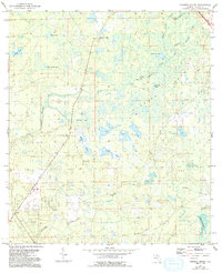 Warrior Swamp 1954 topographic map thumbnail