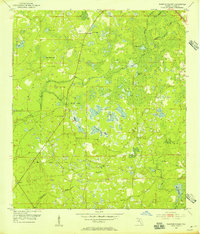 Warrior Swamp 1954 topographic map thumbnail