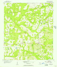 Waukeenah 1955 topographic map thumbnail