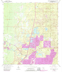 Weeki Wachee Spring 1954 topographic map thumbnail