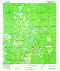 Weekiwachee Springs 1954 topographic map thumbnail