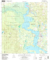 Welaka 1994 topographic map thumbnail
