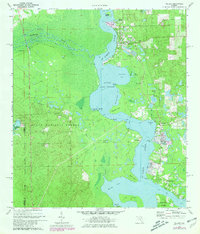 Welaka 1970 topographic map thumbnail