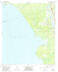 Welaka SE 1970 topographic map thumbnail
