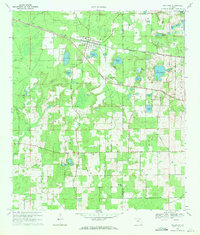 Wellborn 1969 topographic map preview