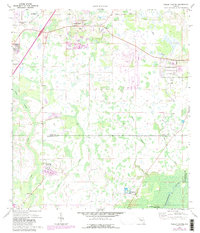 Wesley Chapel 1973 topographic map thumbnail