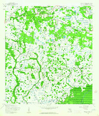 Wesley Chapel 1944 topographic map thumbnail