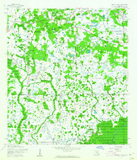 Wesley Chapel 1944 topographic map thumbnail
