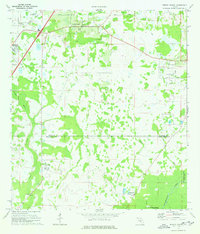 Wesley Chapel 1973 topographic map thumbnail