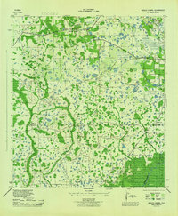 Wesley Chapel 1944 topographic map thumbnail