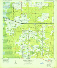 West Dixie Bend 1949 topographic map thumbnail