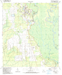 Wewahitchka 1990 topographic map thumbnail