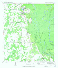 Wewahitchka 1945 topographic map thumbnail
