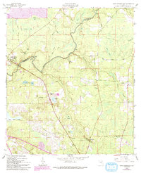 White Springs East 1961 topographic map thumbnail