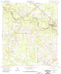 White Springs West 1961 topographic map thumbnail