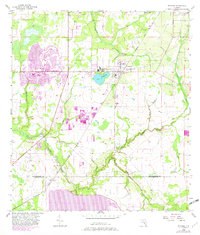 Wimauma 1956 topographic map thumbnail