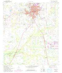 Zephyrhills 1975 topographic map thumbnail