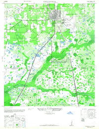Zephyrhills 1947 topographic map thumbnail