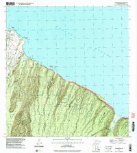 Honokane 1993 topographic map thumbnail