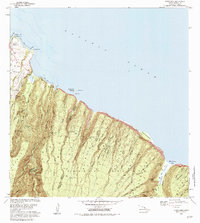 Honokane 1982 topographic map thumbnail