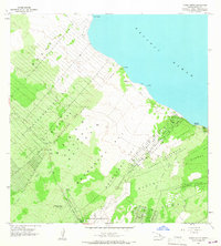 Pahoa North 1965 topographic map thumbnail