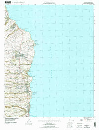 Papaikou 1994 topographic map thumbnail