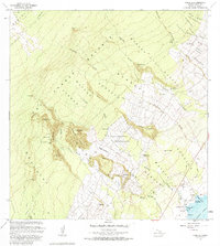 Punaluu 1982 topographic map thumbnail