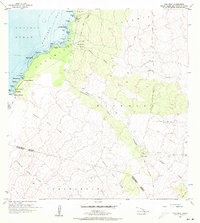 Puu Hinai 1956 topographic map thumbnail
