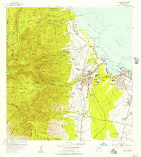 Wailuku 1955 topographic map thumbnail