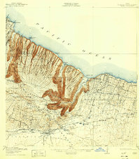 Waipio 1916 topographic map thumbnail