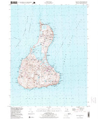 Block Island 1998 topographic map thumbnail