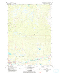 Anchorage C-8 NE 1979 topographic map thumbnail