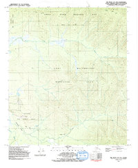 Big Delta C-6 NW 1992 topographic map thumbnail