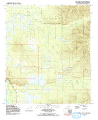Big Delta C-6 SW 1992 topographic map thumbnail