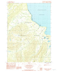 Petersburg C-3 NE 1992 topographic map thumbnail