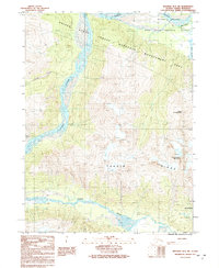 Skagway B-3 SW 1991 topographic map thumbnail