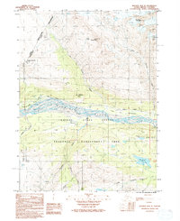 Skagway B-4 NE 1992 topographic map thumbnail