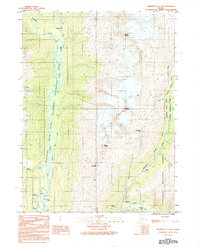 Skagway C-1 SW 1991 topographic map thumbnail