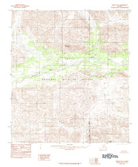 Arctic B-4 topographic map thumbnail