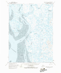 Baird Inlet A-1 1954 topographic map thumbnail