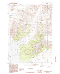 Bering Glacier A-1 1985 topographic map thumbnail
