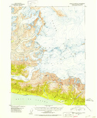 Bering Glacier A-3 1950 topographic map thumbnail