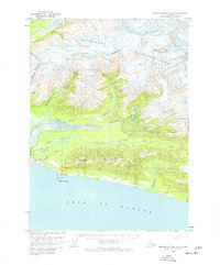 Bering Glacier A-4 1959 topographic map thumbnail