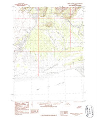 Bering Glacier A-4 1984 topographic map thumbnail