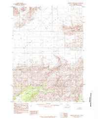 Bering Glacier B-5 1985 topographic map thumbnail