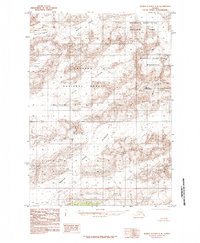 Bering Glacier C-8 topographic map thumbnail