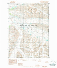 Bering Glacier D-1 1984 topographic map thumbnail